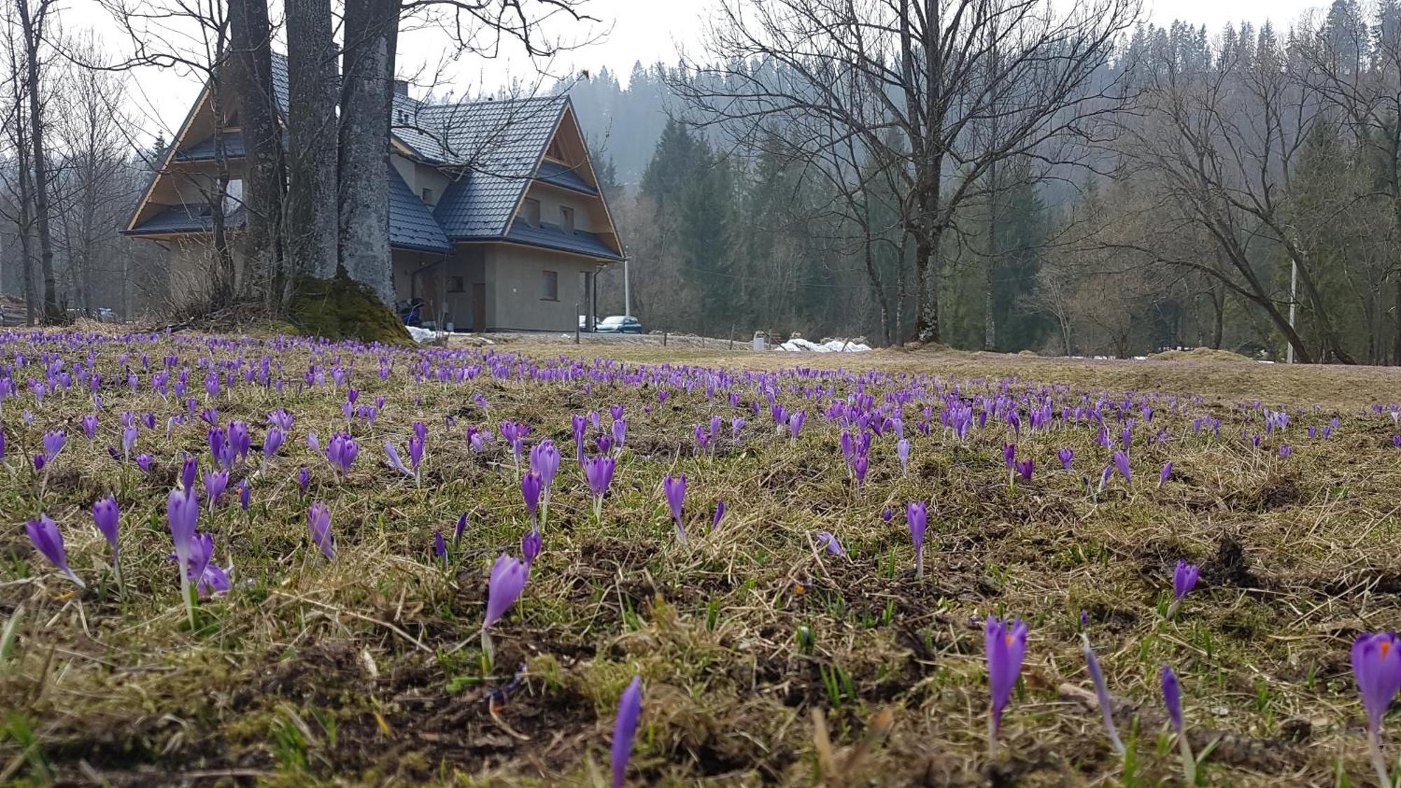 Dom Na Skraju Lasu Юргув Экстерьер фото