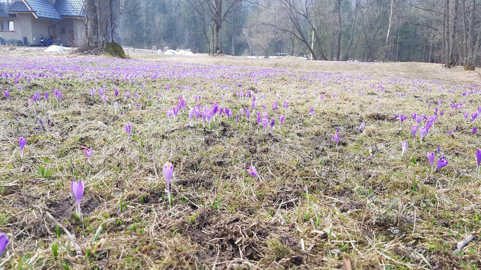 Dom Na Skraju Lasu Юргув Экстерьер фото